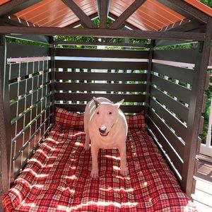 Meet your Posher, Caiden